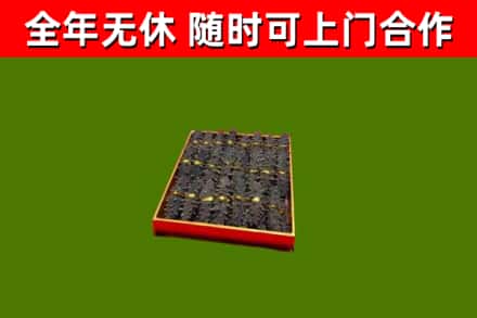响水县回收海参